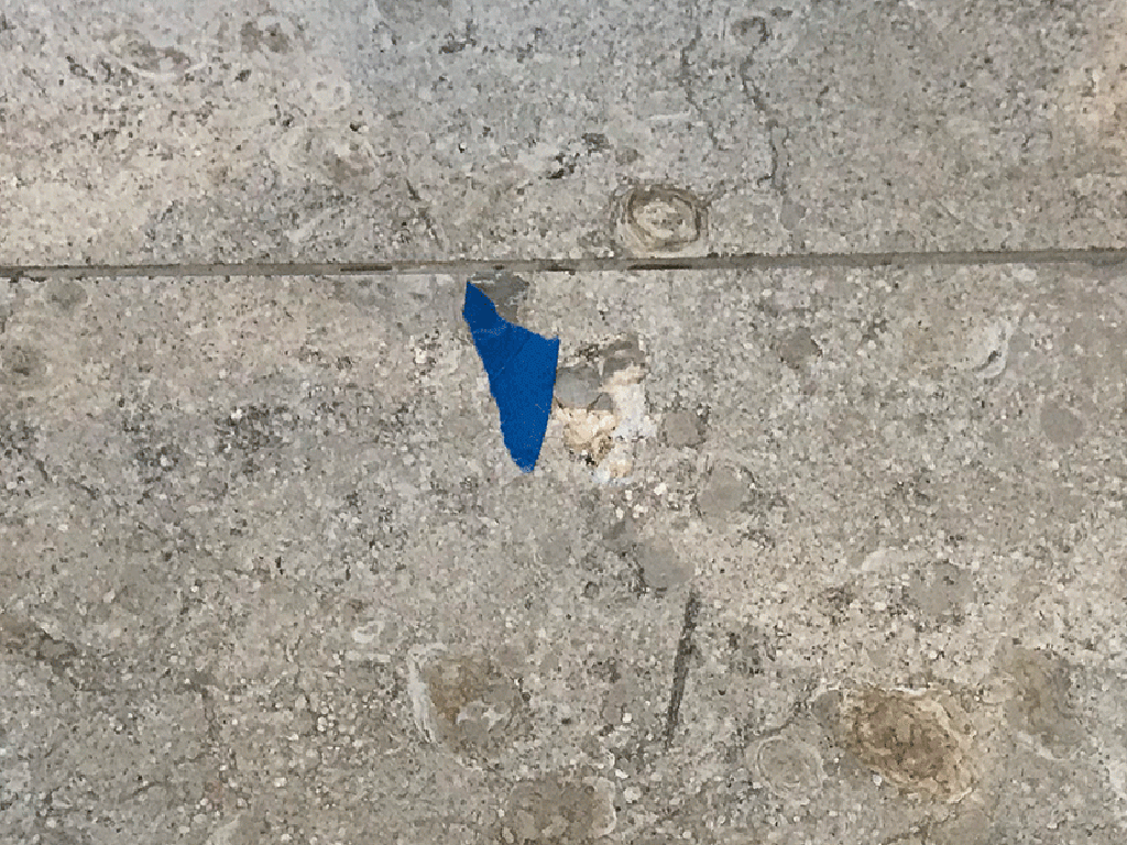 琉球石灰岩の穴