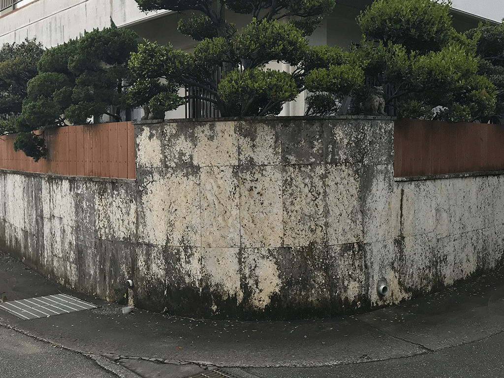 琉球石灰岩洗浄と復元